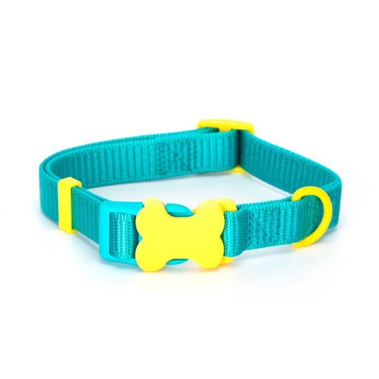 halsband hond turquoise