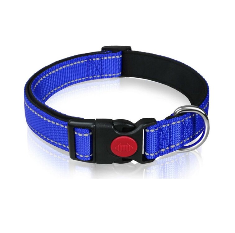 Hondenhalsband blauw