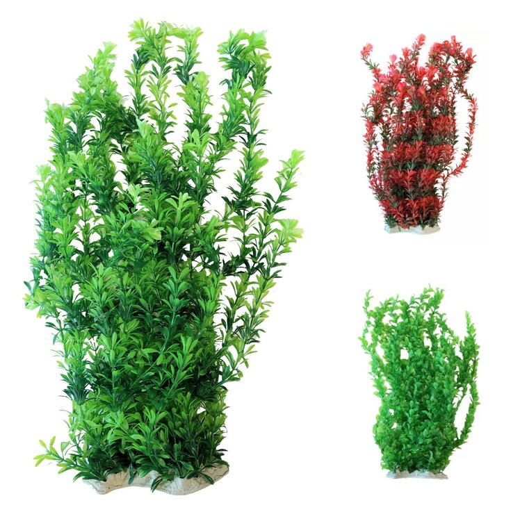 Grote aquarium planten