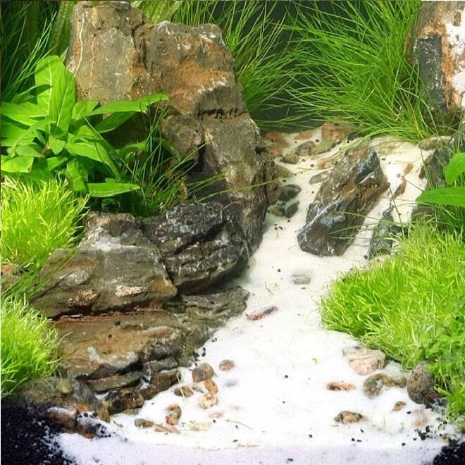 Aquarium bodembedekking wit zand 400 gr