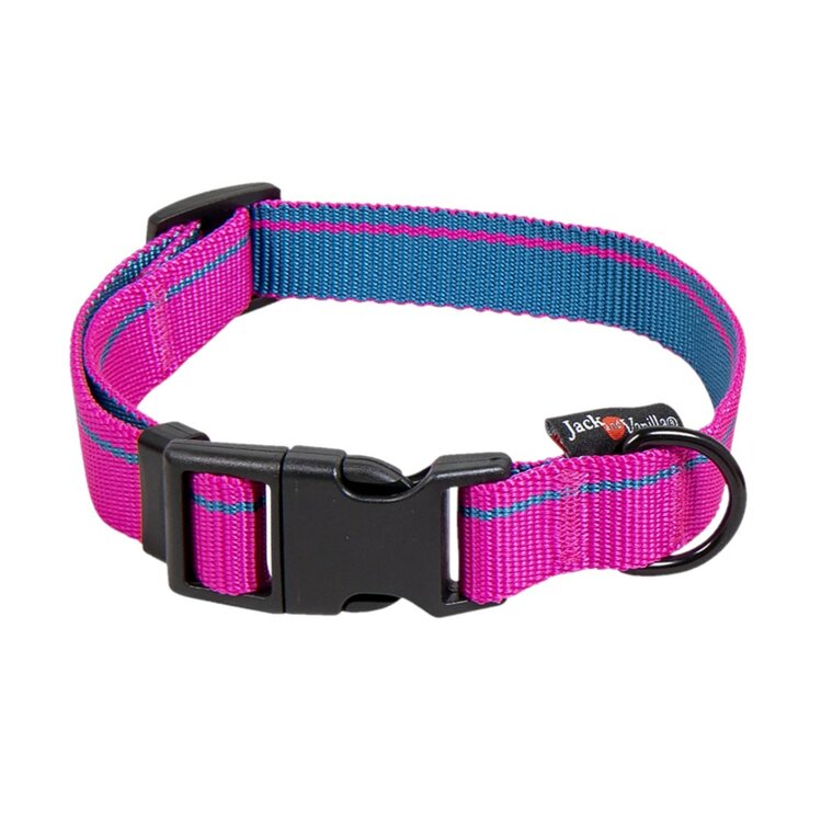 Hondenhalsband met kliksluiting, roze / blauw