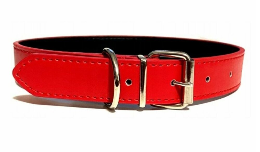 halsband hond rood