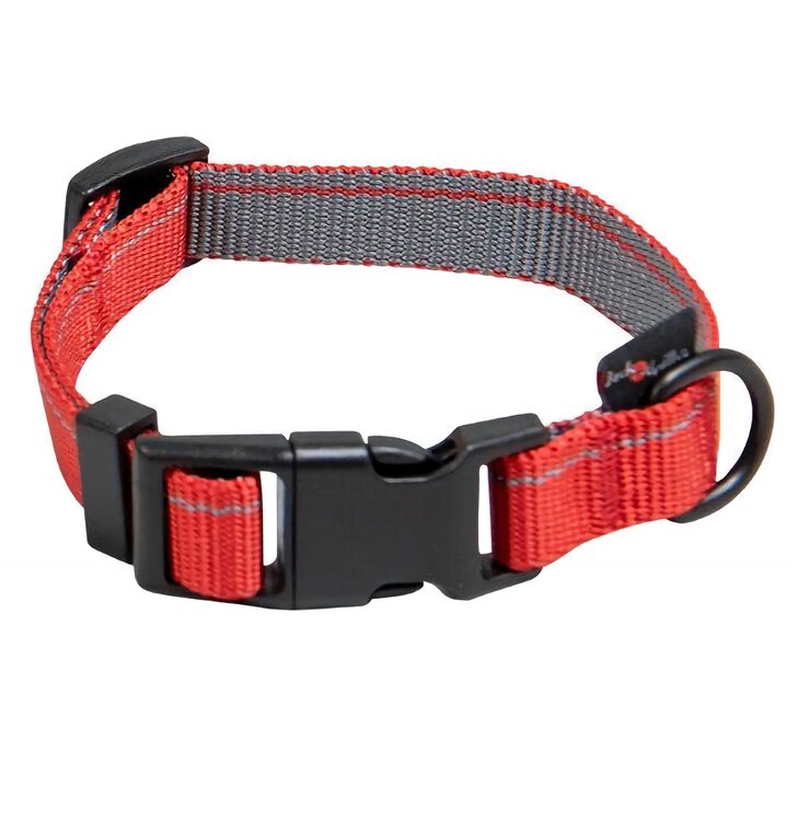 Hondenhalsband rood 65 cm