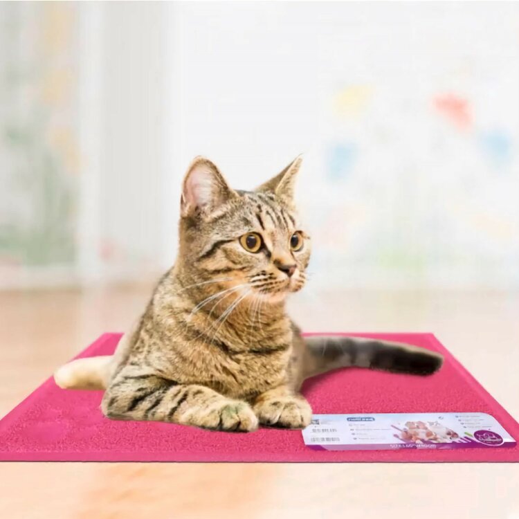 Nobleza Kattenbakmat - Placemat - Rubber - Rechthoek - 40x60 cm - Roze