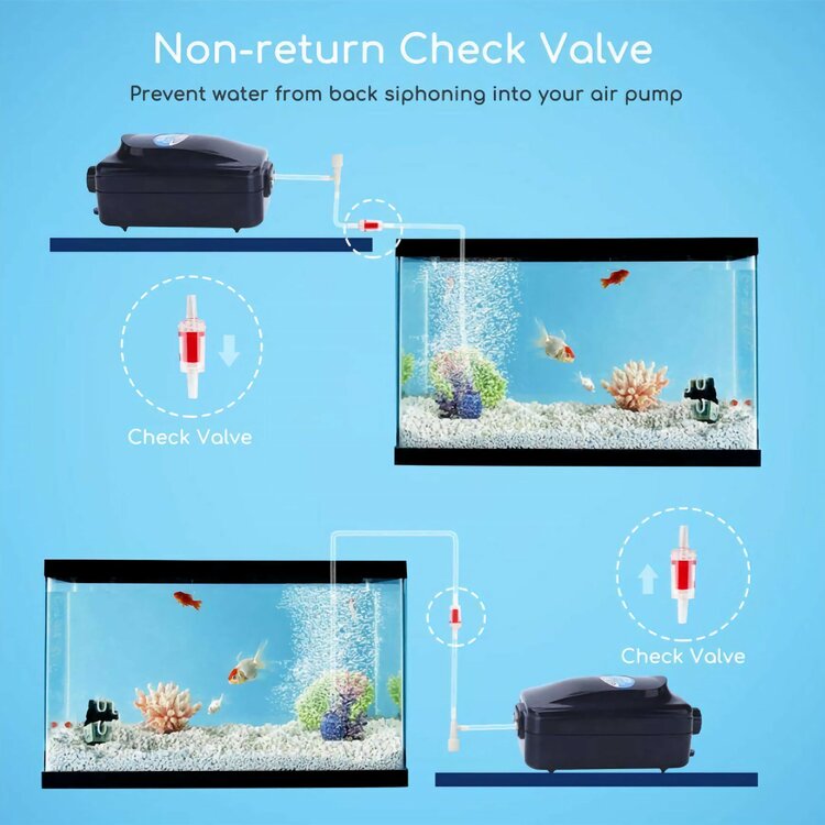 Nobleza Aquarium bruissteen - Set - Inclusief aansluitslang 4 mm