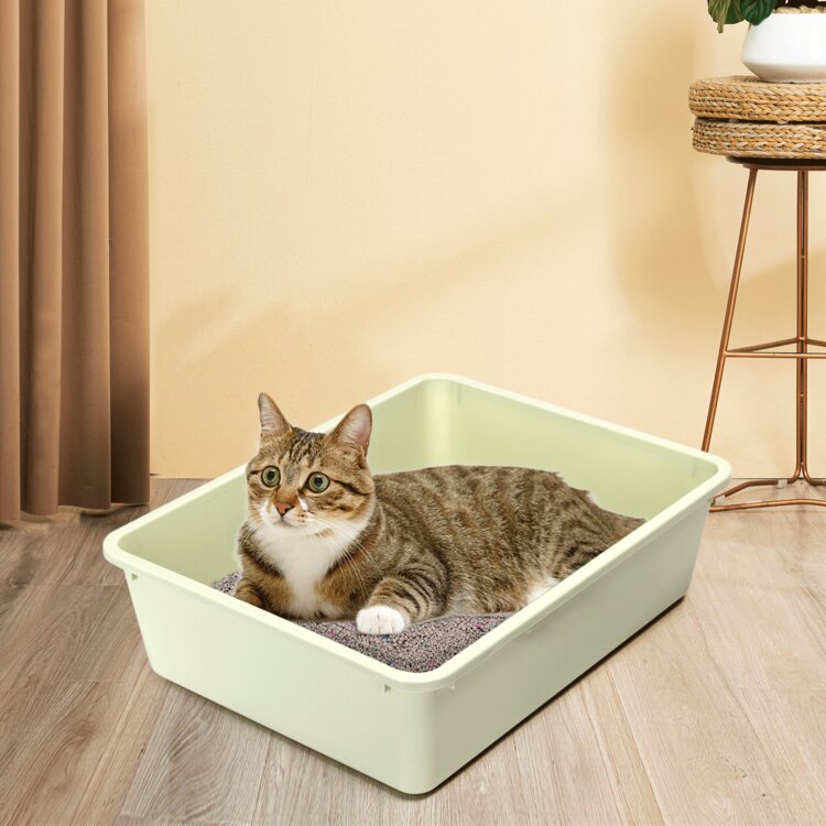 Nobleza Open kattenbak - Met schepje - 43x32,5x12 cm - Groen