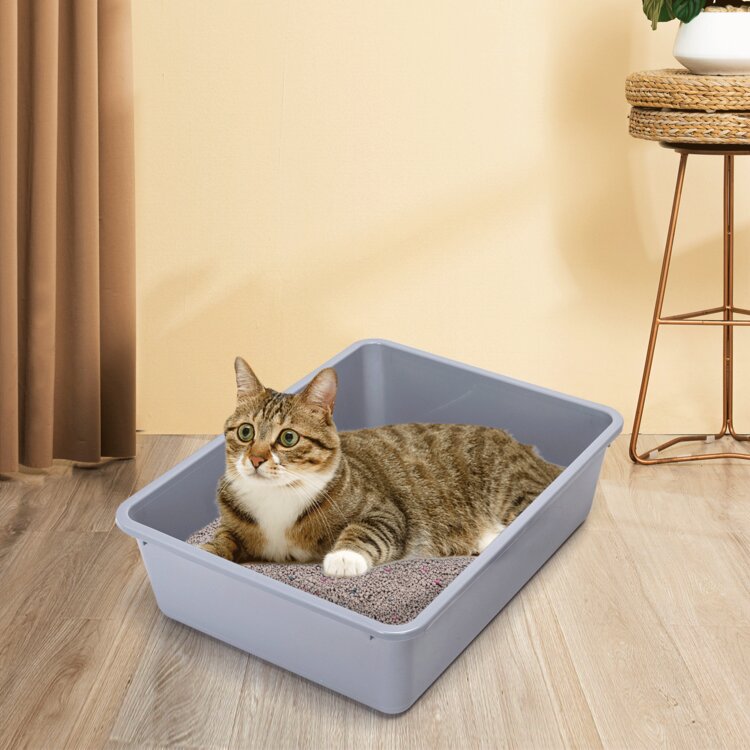 Nobleza Open kattenbak - Met schepje - 43x32,5x12 cm - Grijs