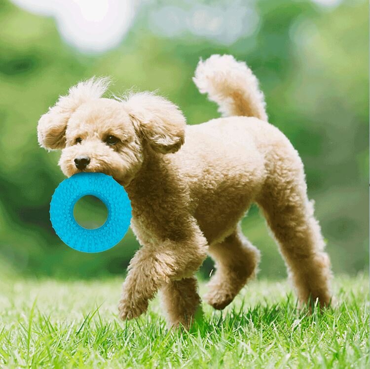 Honden piepspeelgoed - Grote ring - Rubber - 12,5 cm