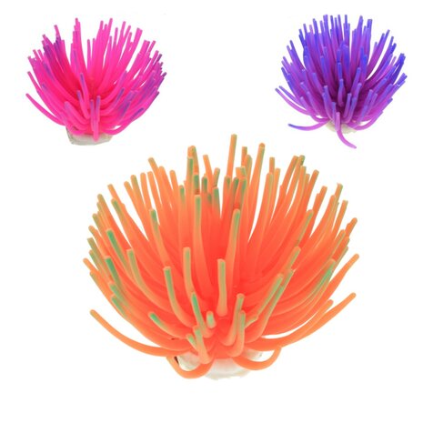 ontmoeten verbrand Komst Koraal anemoon aquarium L fluorescerend - verenadierenartikelen
