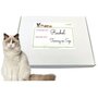 Katten cadeaubox S