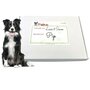 Honden cadeaubox S 