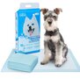 Puppy trainingpads 60x60 plakbaar 10 stuks