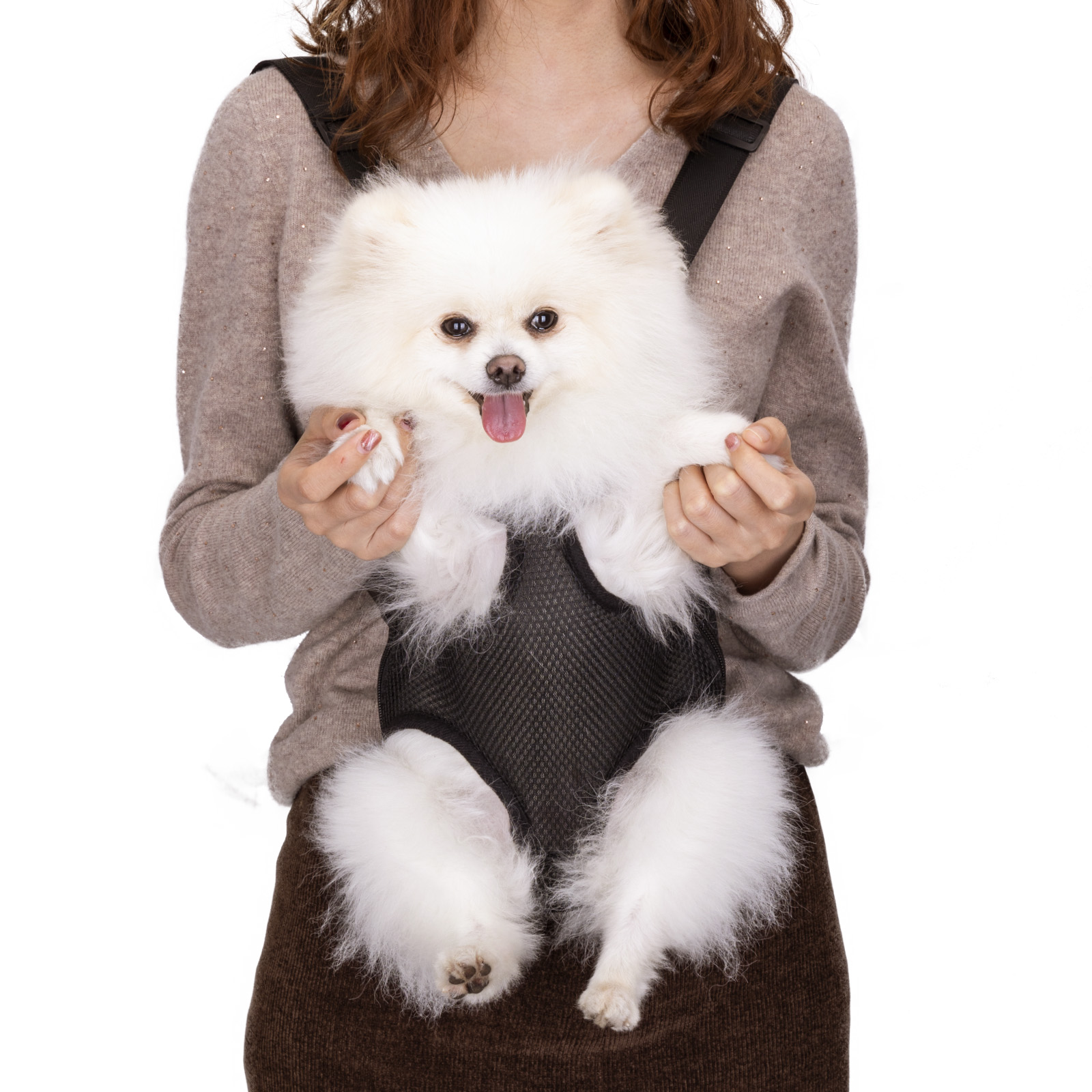 Nobleza Draagzak - Buikdrager - draagtas kleine hond - Maat L