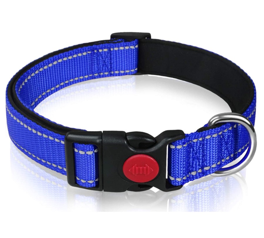 Hondenhalsband met veiligheidssluiting Blauw
